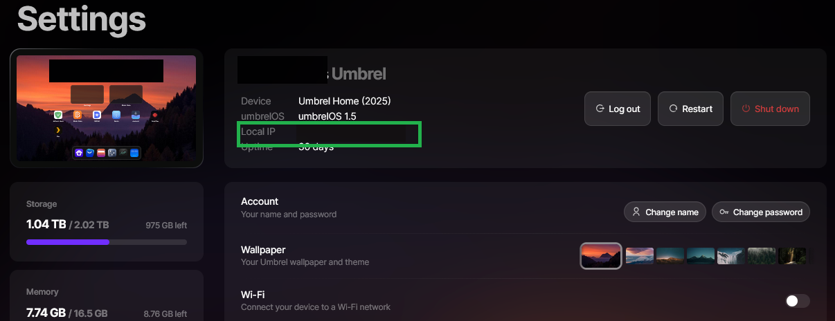 Umbrel settings screen showing the local IP field for the box on the home network